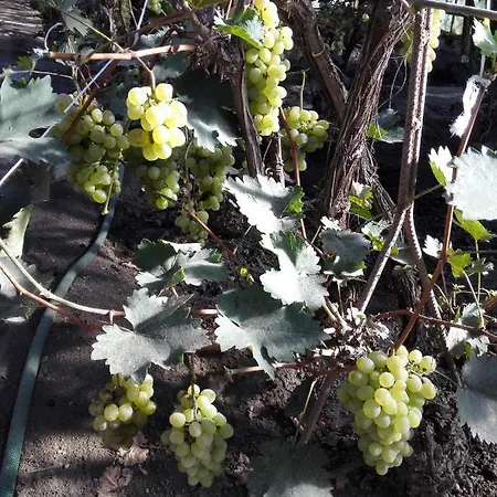 Dom Z Winnica